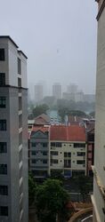 Ritz Mansion (D12), Apartment #297366241